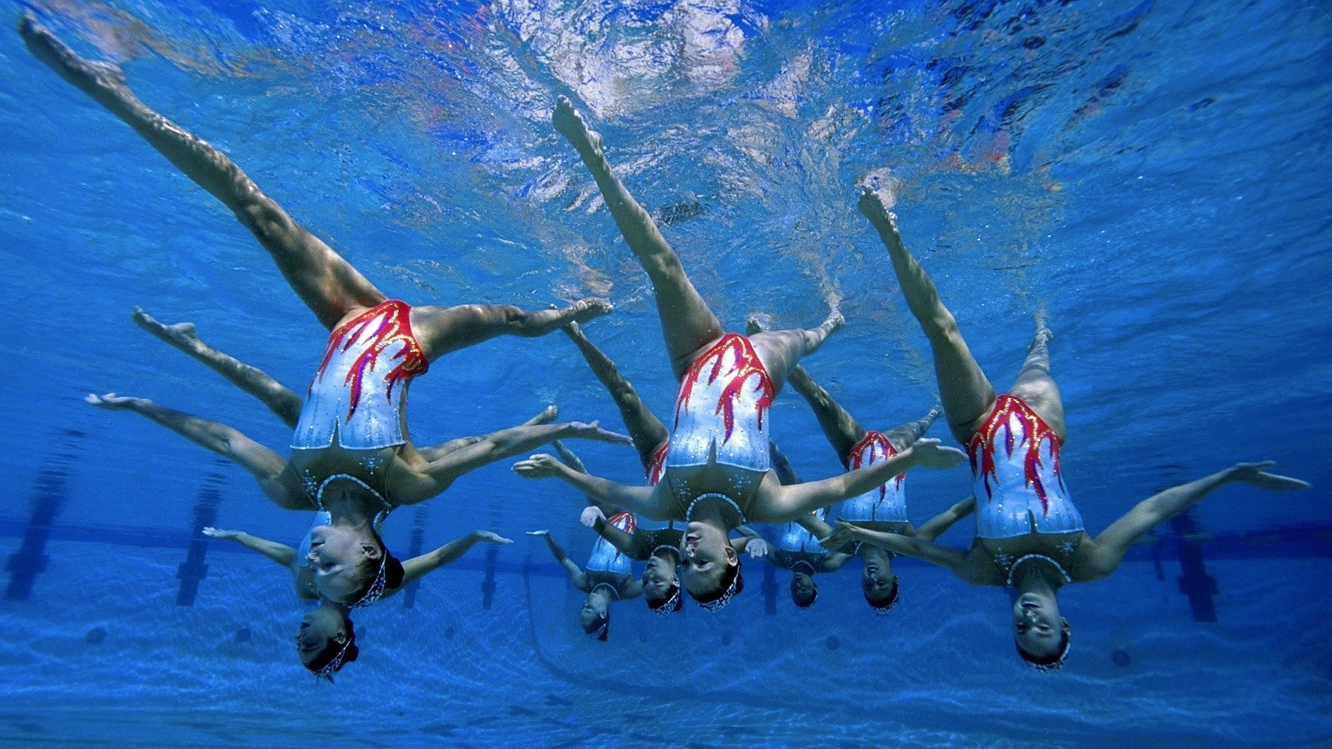 欧冠决赛惊天对决！老鹰锋芒毕露撕碎黄蜂防线，王者之师强势登顶欧洲之巅！